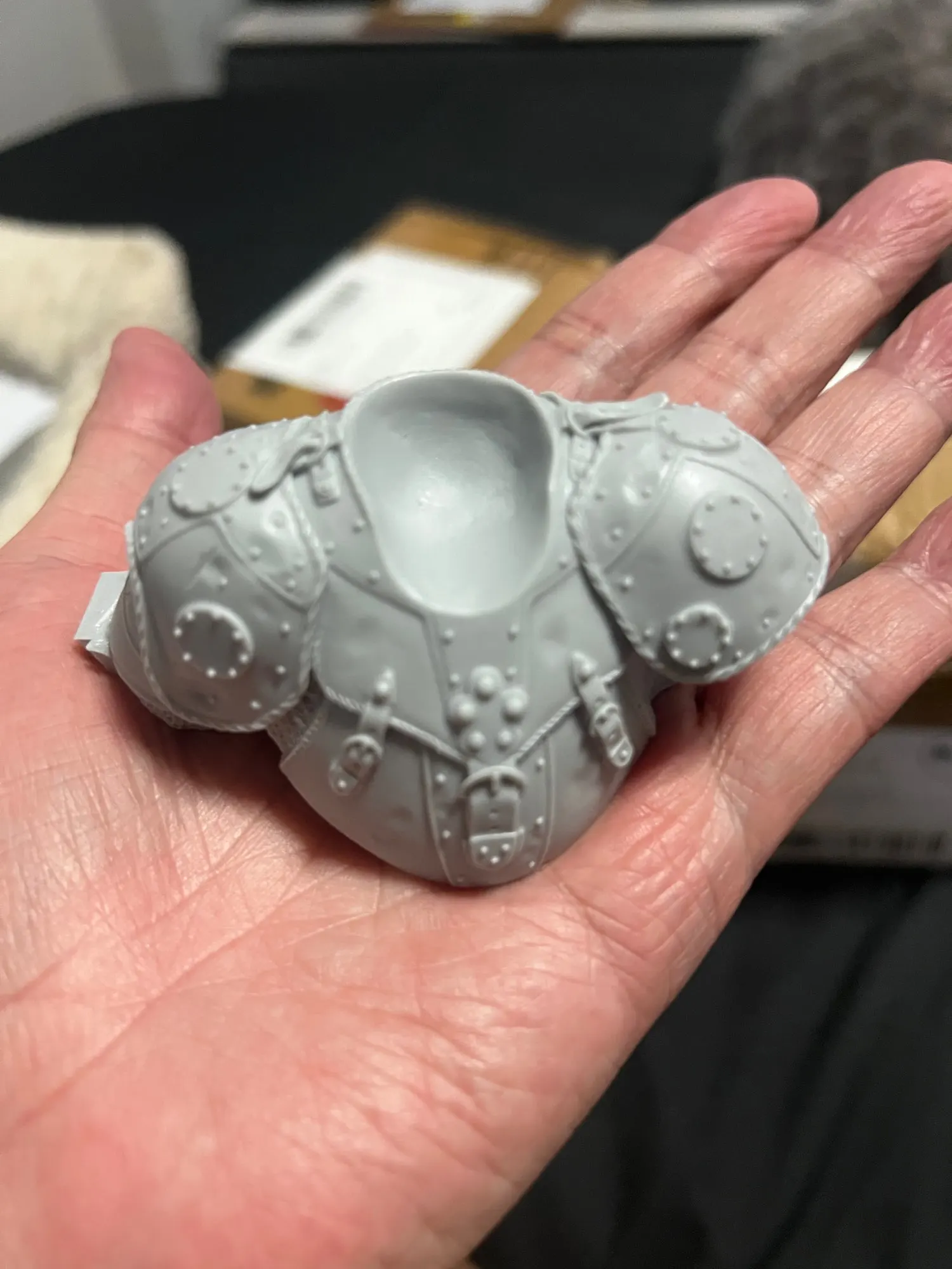 Buyer photo of this resin kit