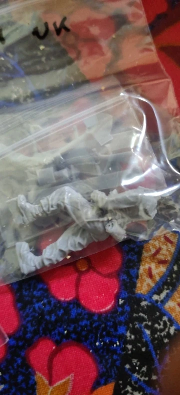Buyer photo of this resin kit