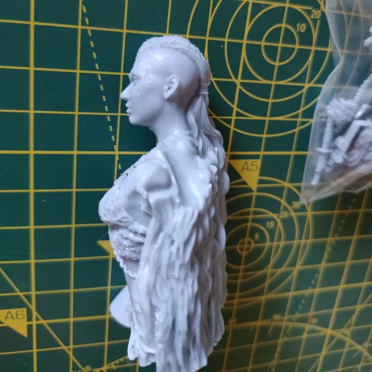 Buyer photo of this resin kit