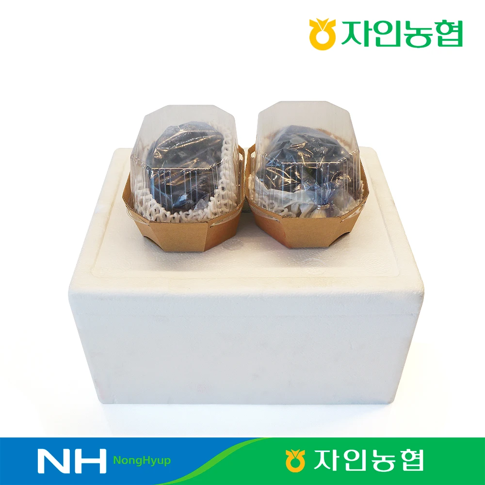 경산자인농협 경산 거봉 1kg (2수/수 당 500g 내외)