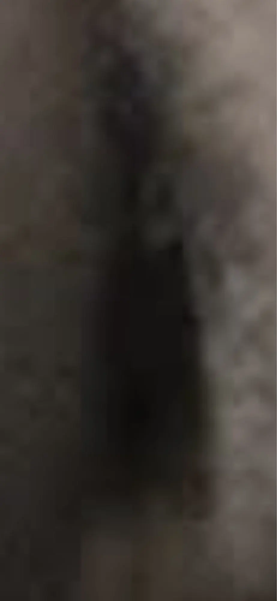 실물 포토 리뷰