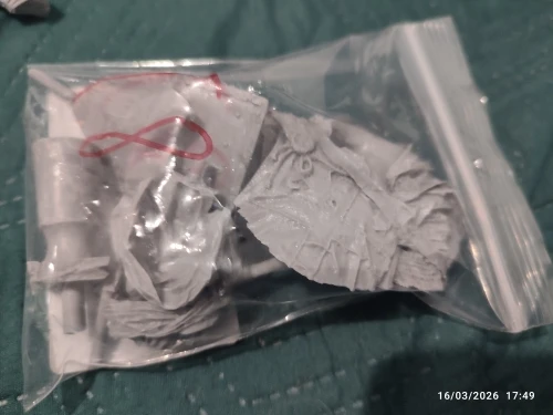 Buyer photo of this resin kit
