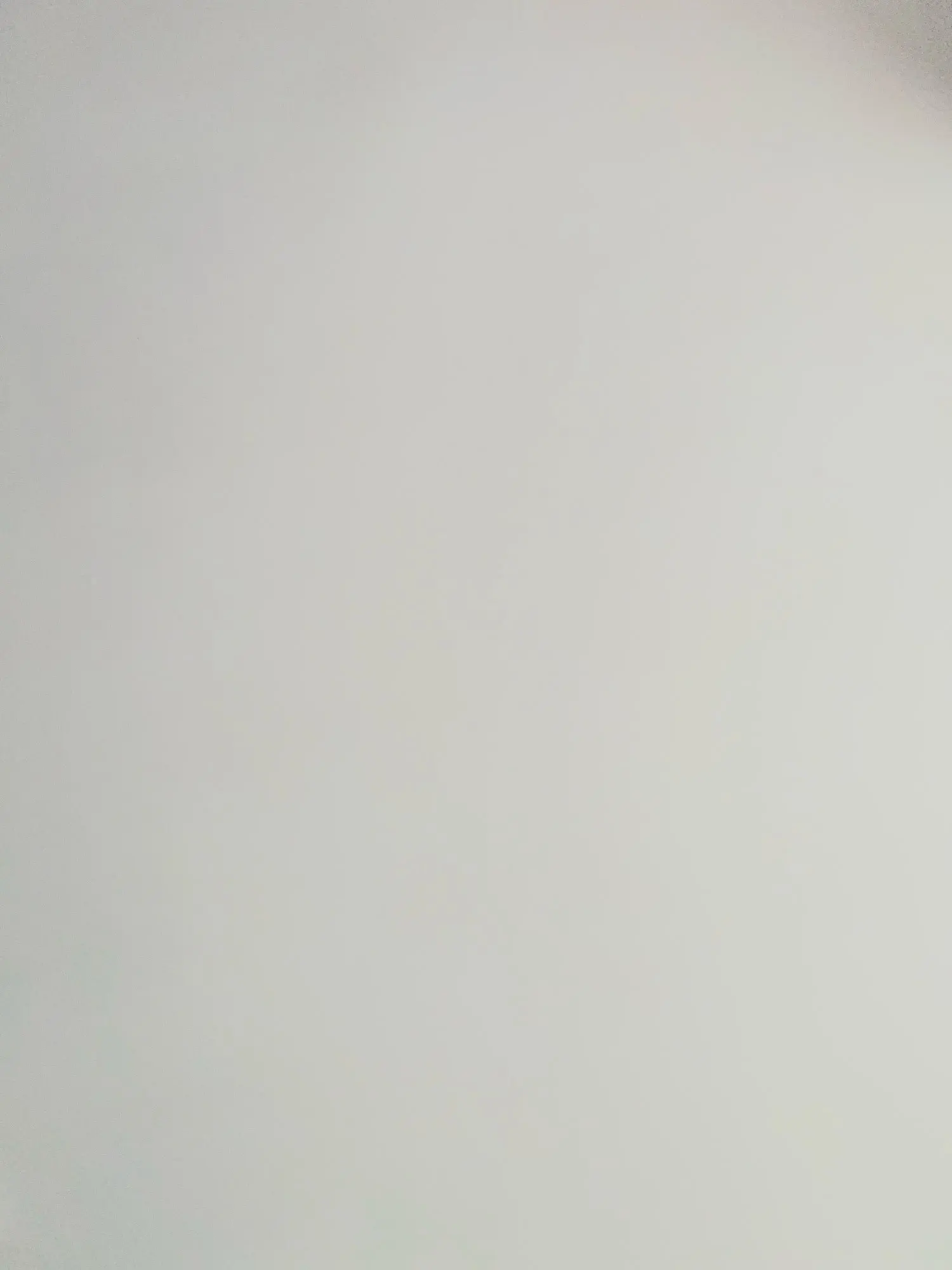 실물 포토 리뷰