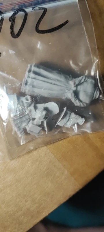 Buyer photo of this resin kit