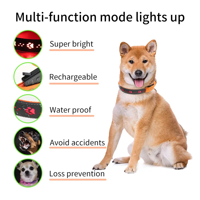 LED Dog Collar Light Up Dog Collar Adjustable Usb Rechargeable Super Bright Safety Light Glowing Dog Collars For Small Dogs