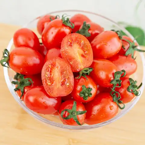 GAP인증 달콤한 스테비아 방울토마토 500g+500g 총 1kg 외