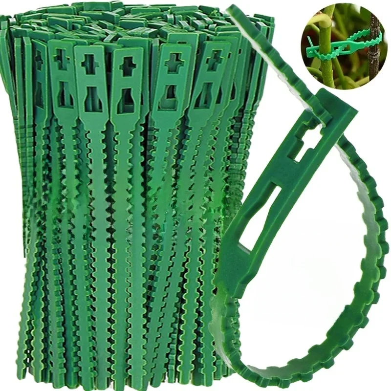 Attaches de cùble pour plantes vertes, 13/17/23cm, réutilisables et réglables, Support d'arbres de vigne, arbustes, anneaux d'enveloppe autobloquants, organisateur de fixation