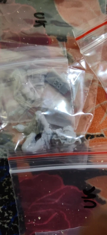 Buyer photo of this resin kit