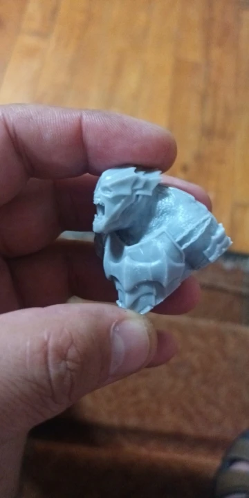 Buyer photo of this resin kit