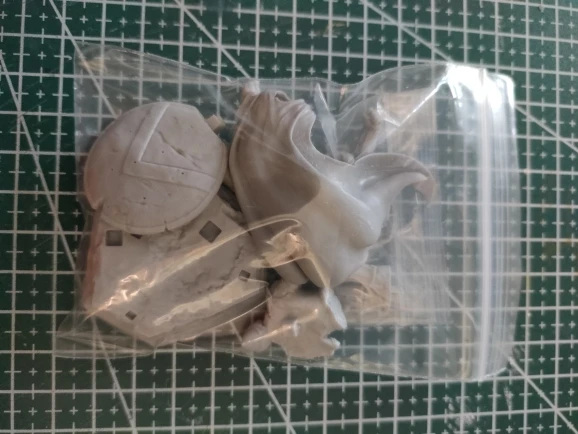 Buyer photo of this resin kit