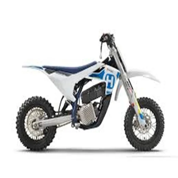 

NEW ARRIVAL ORIGINAL 2024 EE 3 Motorcycles