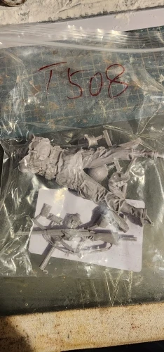 Buyer photo of this resin kit