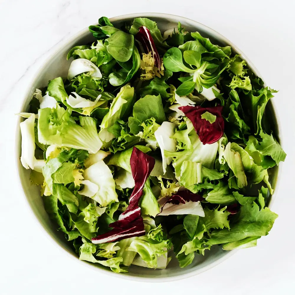 [السلطة العضوية] السلطة العضوية الأوروبية 6-8 أنواع من الزبدة والخس والخس الروماني 1 كجم