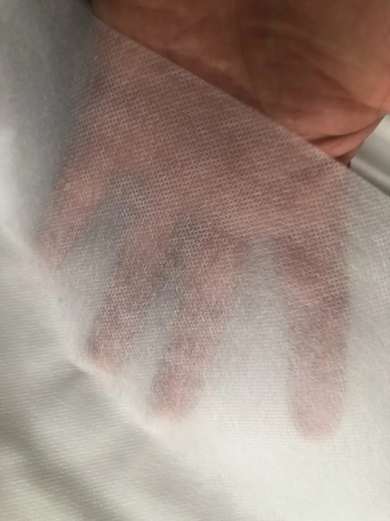 실물 포토 리뷰