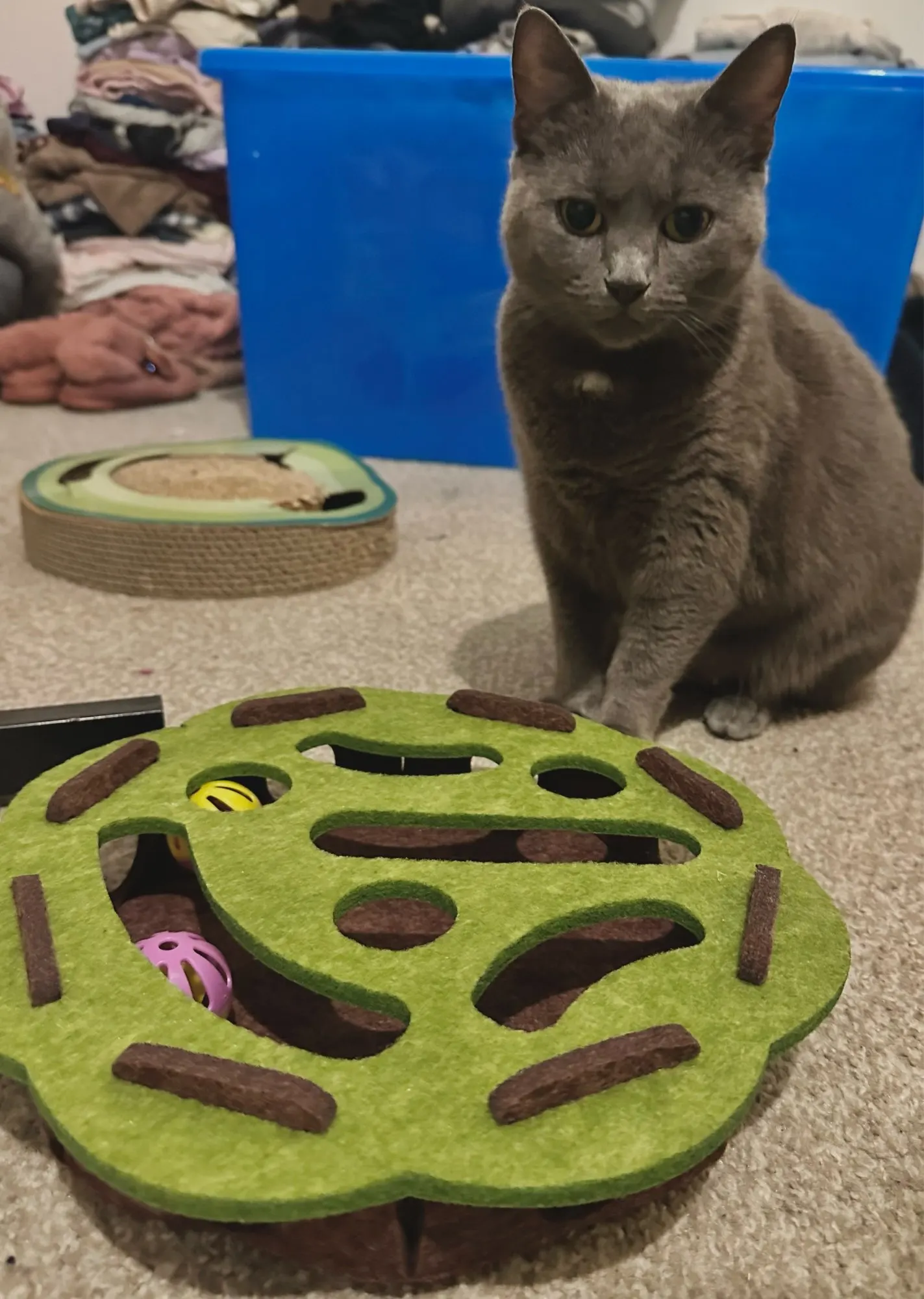 Photo sent by a buyer