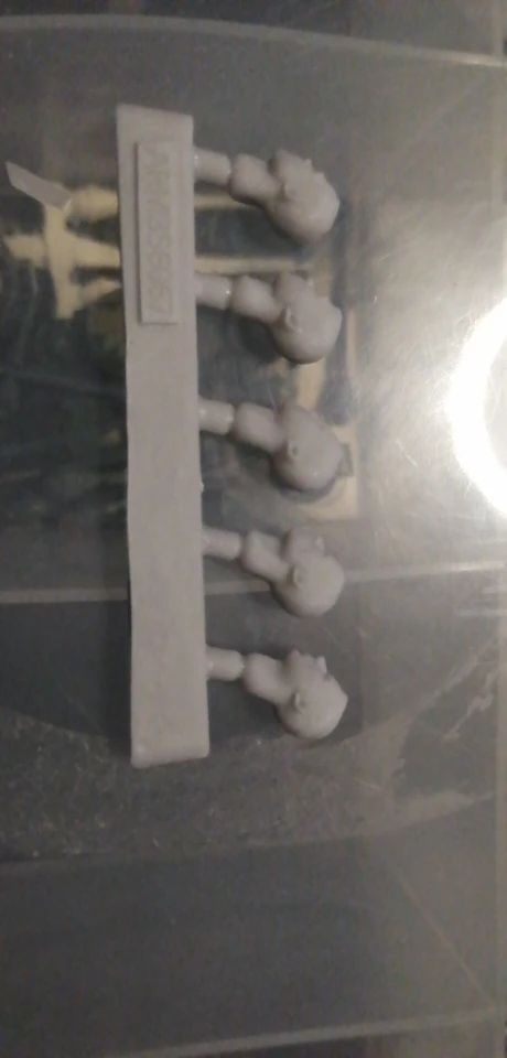 Buyer photo of this resin kit