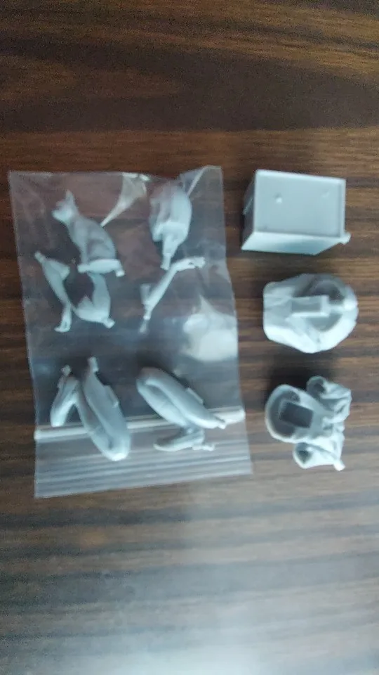 Buyer photo of this resin kit