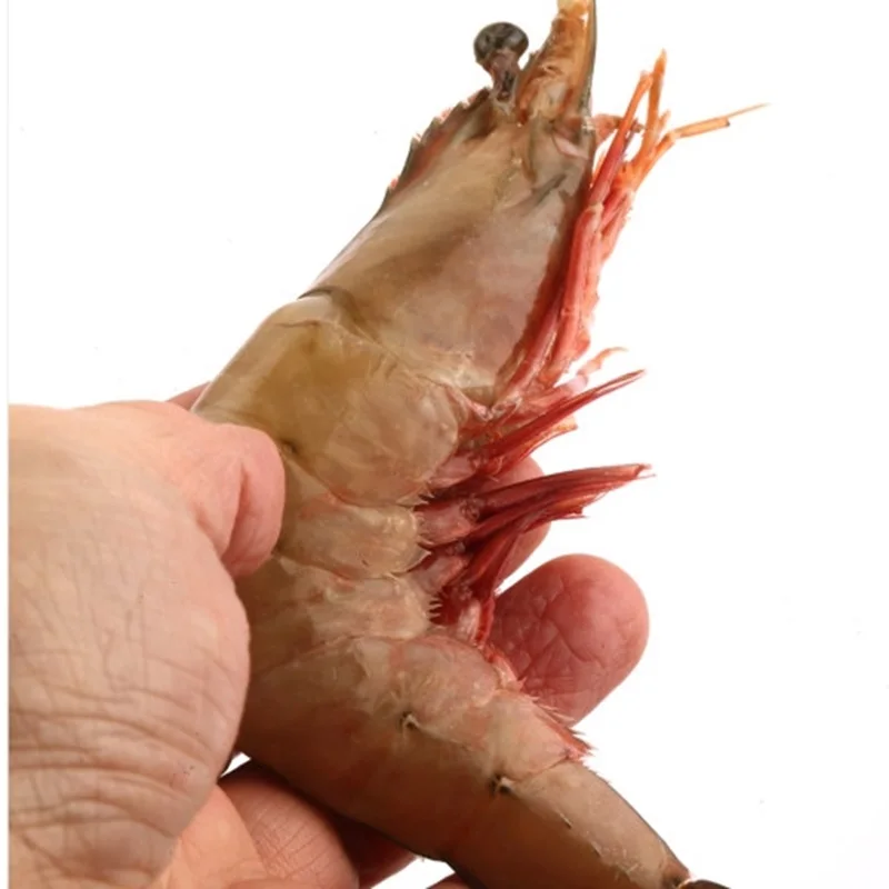 [바다우체국] 자연산 랍스타 바나나새우 1kg 무료배송(평일1시마감 당일발송 내일도착)