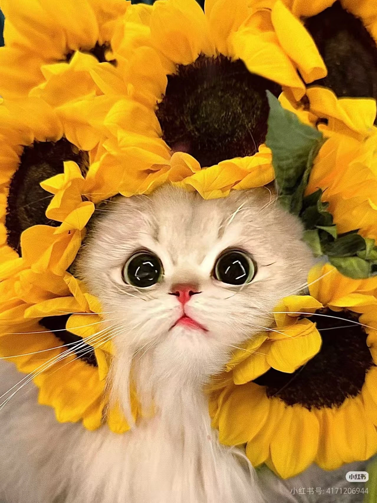 

2026 Hot sale DPL hair removal OPT IPL Machine E-light Therapy Hair Removal Wrinkle Removal and Pigmentation Acne Treatment