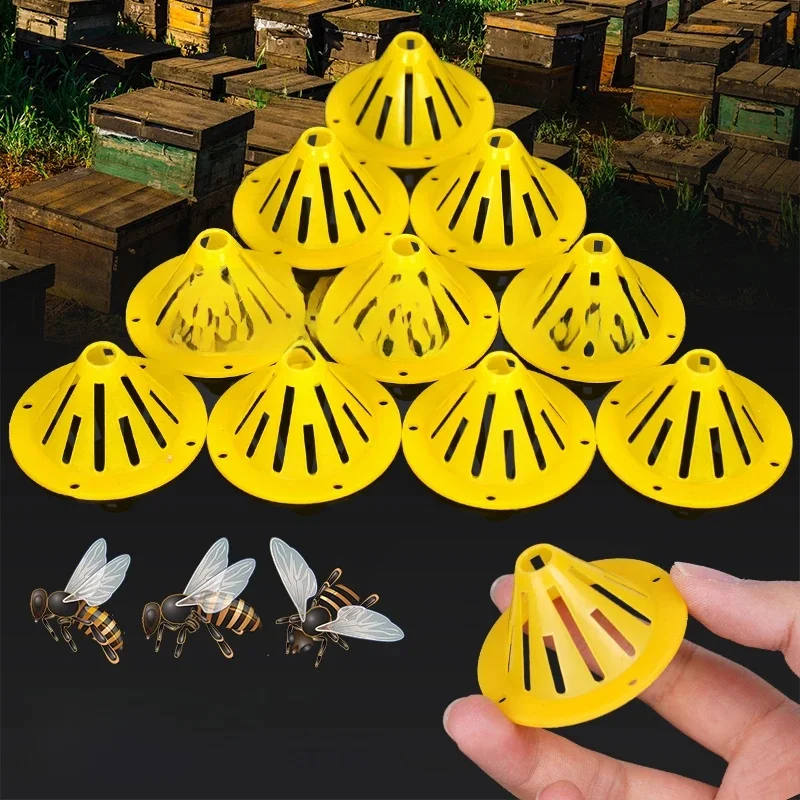 Porte de ruche rotative en forme de cône, équation d'apiculture, sortie HMarkets, porte de ventilation d'entrée, outils de accent, fournitures d'insectes, 5 pièces, 10 pièces