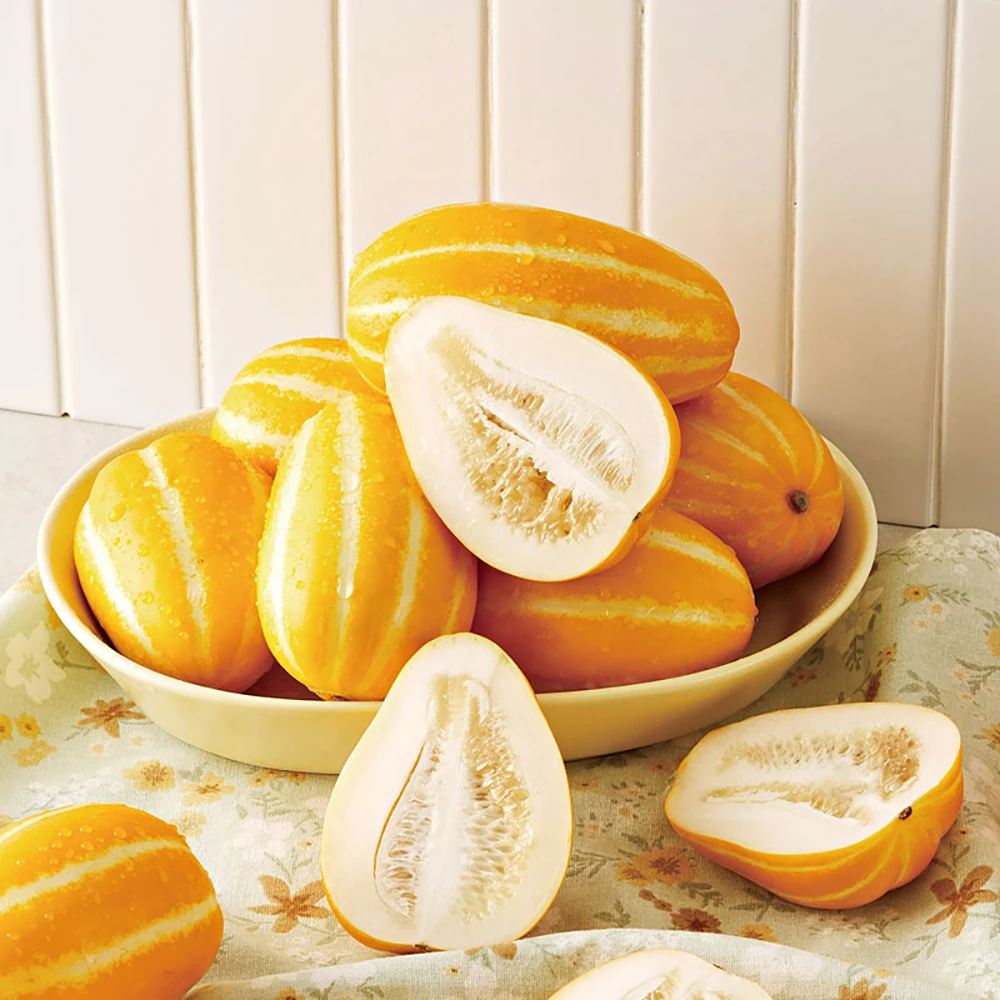 고당도 성주 꿀참외 1kg/1.5kg/2.5kg 가정용 혼합과 산지직송