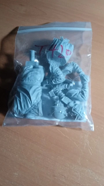 Buyer photo of this resin kit