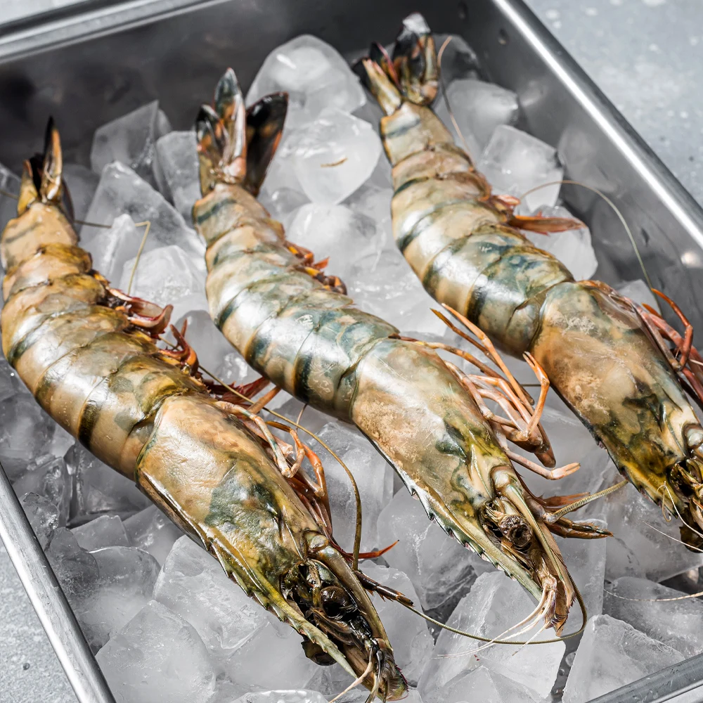 [IG] Black Tiger King gambas (15 mi) 500g