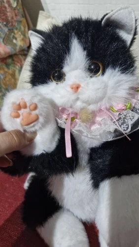 리뷰 사진