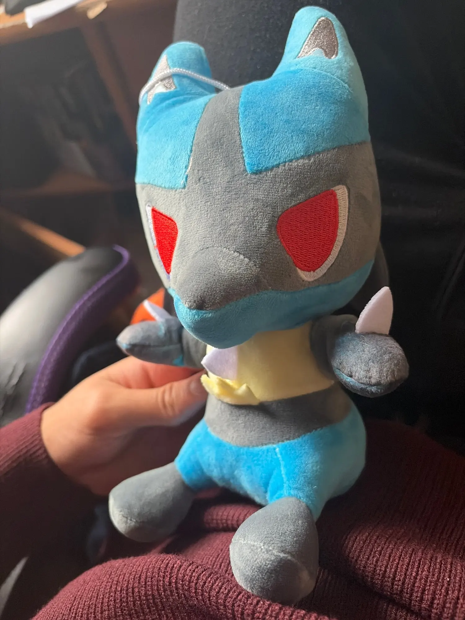 Customer review photo