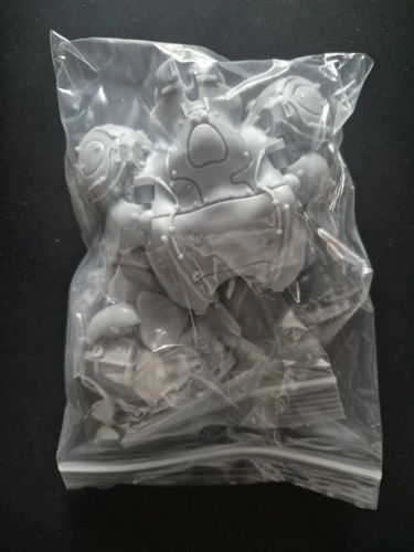 Buyer photo of this resin kit