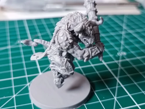 Buyer photo of this resin kit
