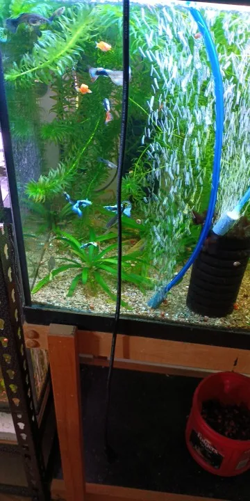 실물 포토 리뷰