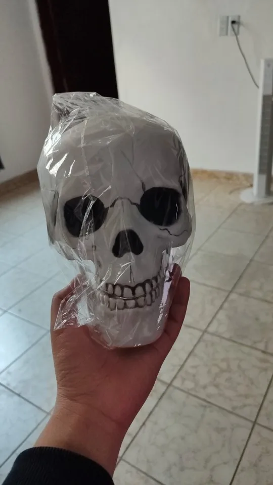 Halloween Skull Decoration,Realistic Plastic Skull,Head Skeleton,Halloween Party Home Yard Decoration,Haunted House Horror Props photo review