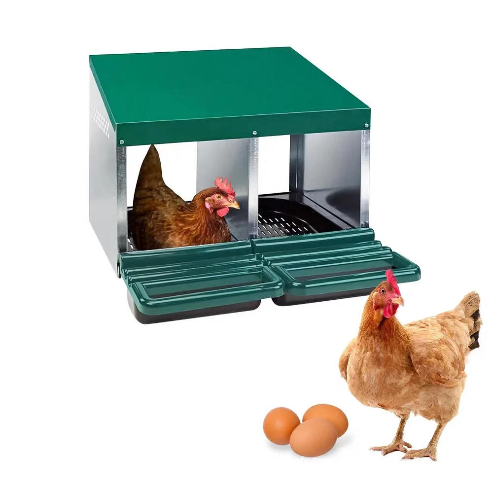 Nid de poulet, boîte à œufs suspendue ou au sol, épaissi, galvanisé, Durable, facile à assembler, poules pondérées, maison à œufs
