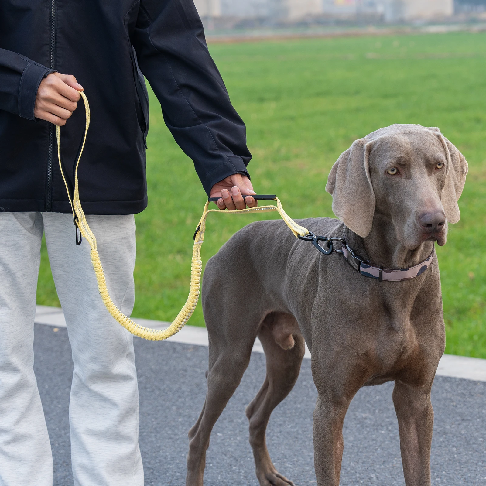 Taktische Hundeleine Robuste Reflektierende Starke Anti-Zug Bungee-Leine für Mittelgroße und Große Hunde mit Komfortablem Gepolstertem Doppelgriff – Detail 11