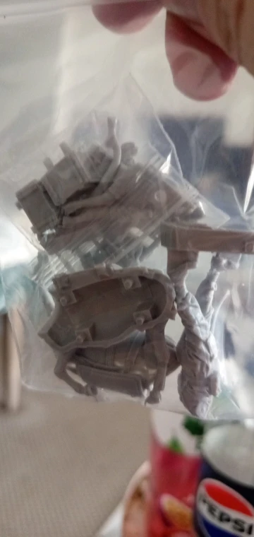 Buyer photo of this resin kit