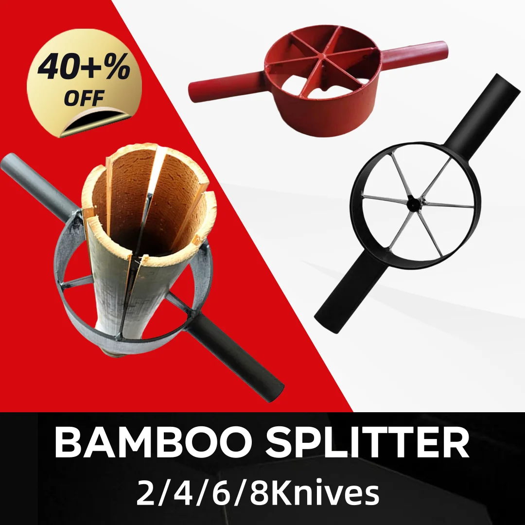 #39 Latest Dividers Offers