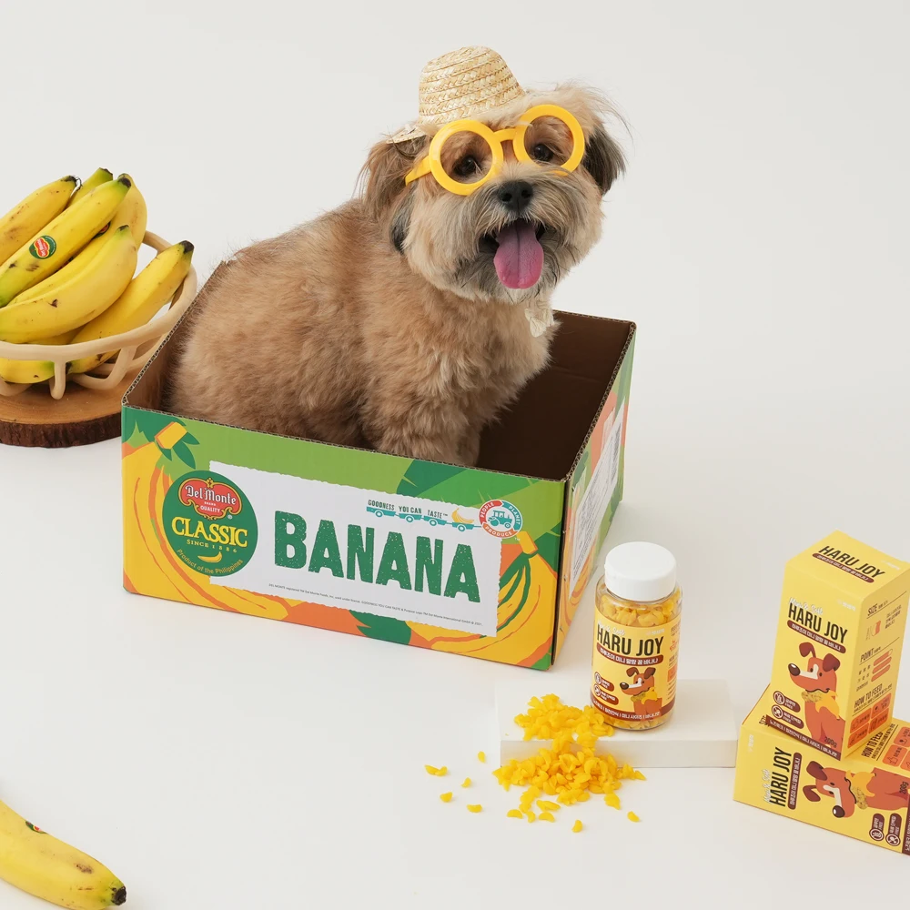 Pet thinking large capacity banana Puppy snack about 1000 almini Malang honey banana compliment training education reward Noswork low knife lollies snacks