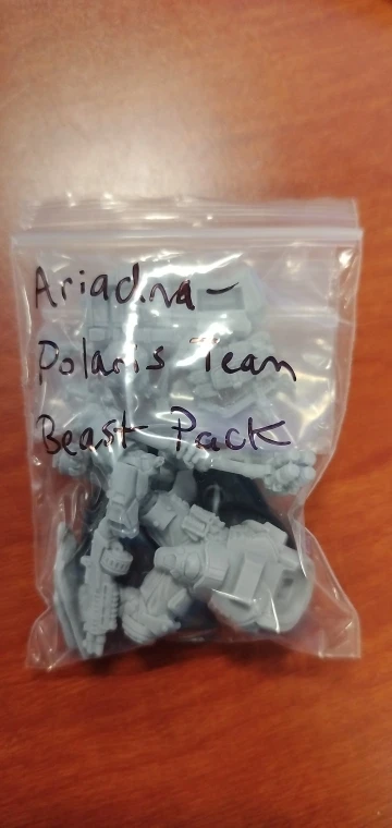 Buyer photo of this resin kit