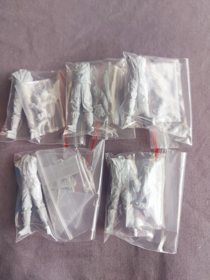 Buyer photo of this resin kit