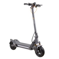 RZ800 Electric Scooter For Adults 1200W Motor 48V 18AH E-Scooter 10.5 Inch Tire Foldable Escooter Double Suspension APP Control
