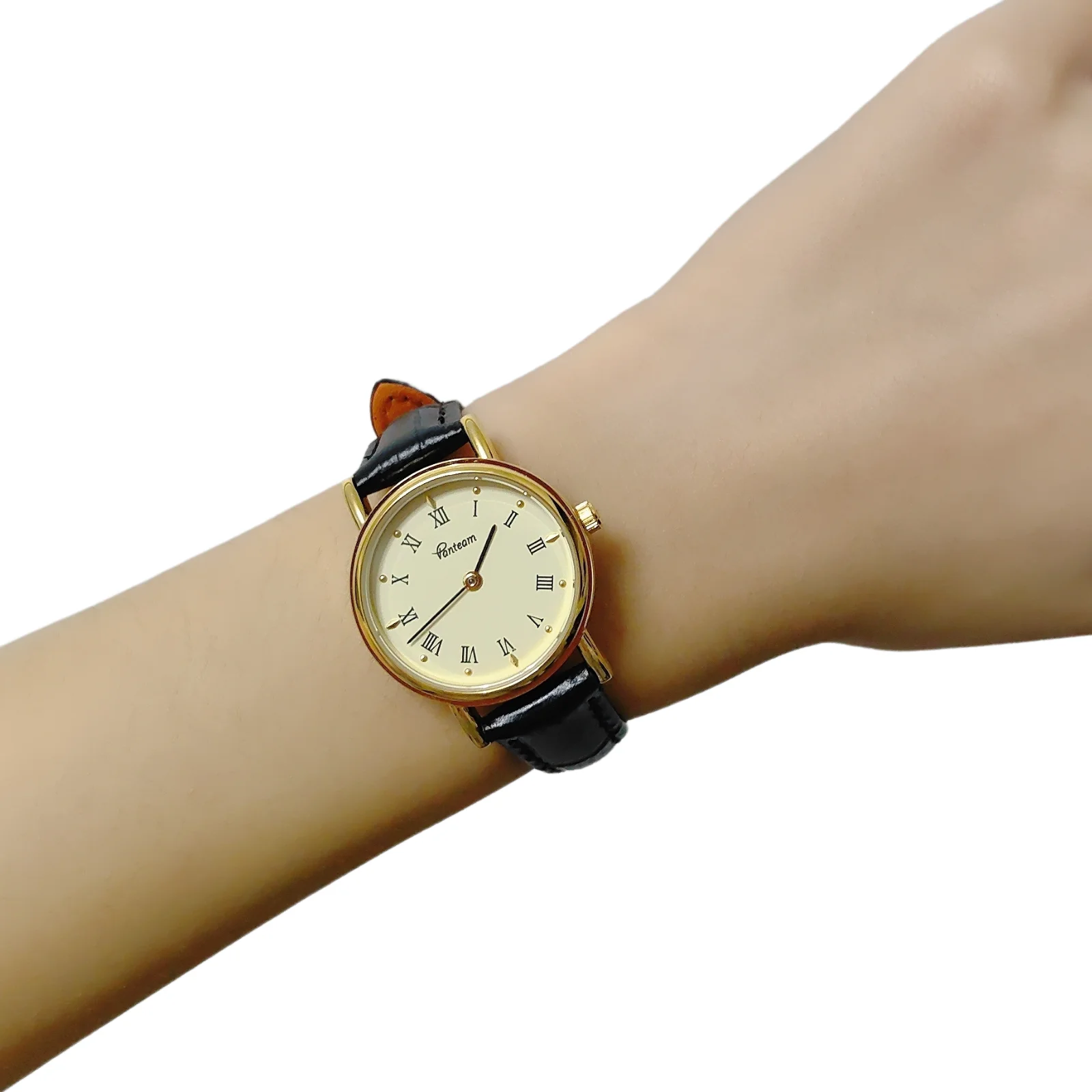 Vanteam Luxury Women's Leather Quartz Watch Elegant Small Round Dial Waterproof Wristwatch Perfect Gift for Ladies