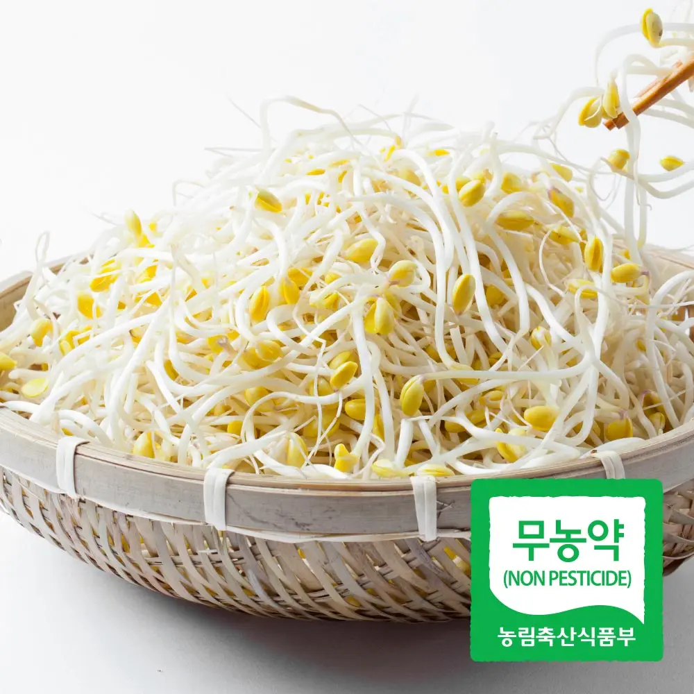 Domestic pesticide-free Ijo Eun oxygen bean sprouts 1kg 2kg