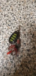 Imagen de reseña 2