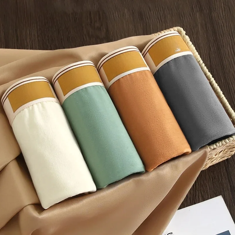 4 pièces hommes sous-vêtements coton BoxerShorts homme respirant caleçon Sexy sport confort mâle boxeurs taille L-4XL