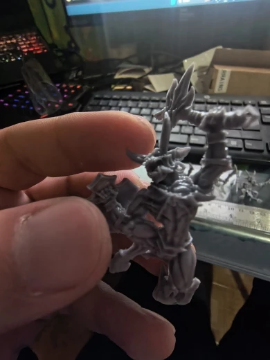 Buyer photo of this resin kit