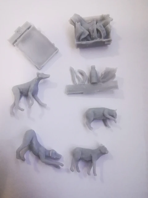 Buyer photo of this resin kit