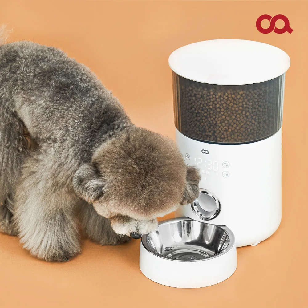 (OA) Come and Pet Cat puppy automatic feeding machine voice recording possible