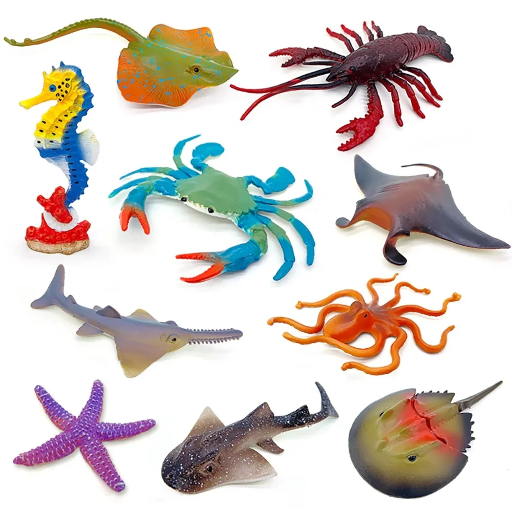 Modèle animal océan : hippocampe, étoile de mer, homard, crabe, fer à cheval, poulpe, poisson-scie, rayons manta, rayons, jouet biologique sous-marin
