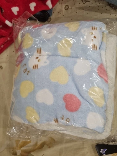 리뷰 사진